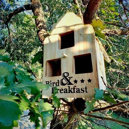 Casa Nel Bosco Il Grottone *