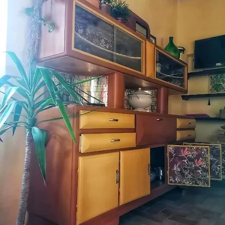 Casa Nel Bosco Il Grottone Montaione