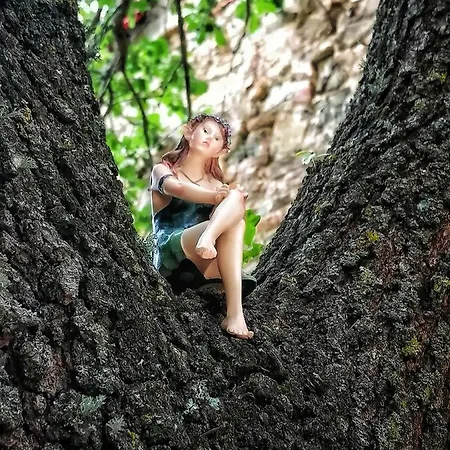 Casa Nel Bosco Il Grottone Feriehus Montaione