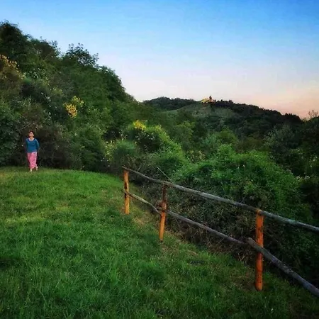 Casa Nel Bosco Il Grottone *