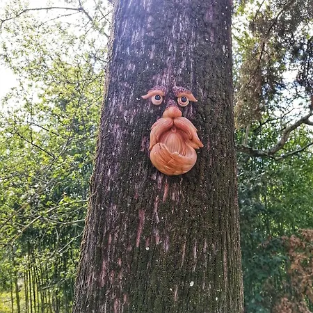 Casa Nel Bosco Il Grottone * Montaione